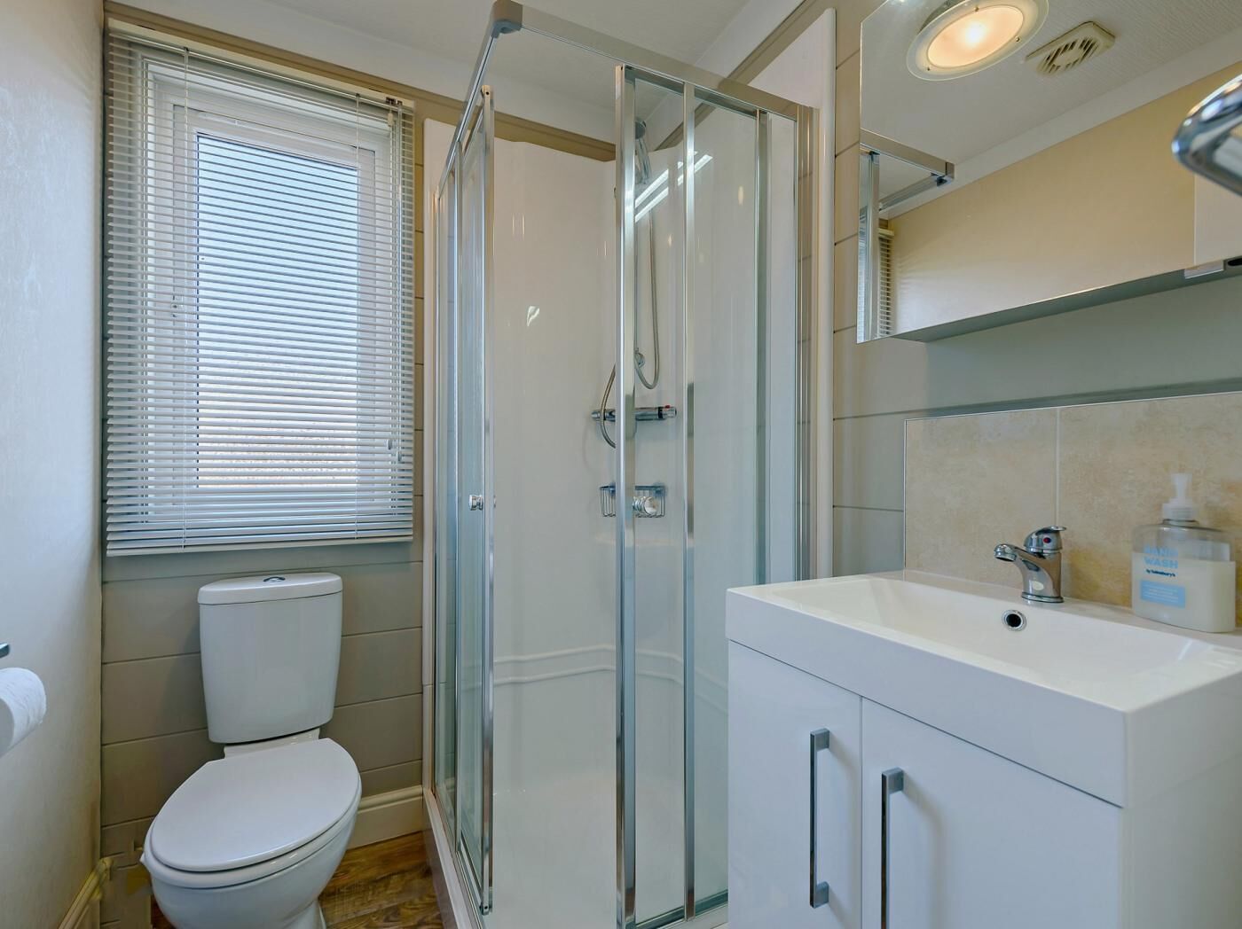 A modern bathroom with a glass shower enclosure, a toilet, and a sink with a mirror above.