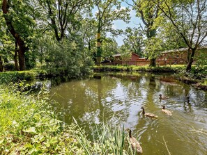 Un estanque con patos, rodeado de árboles y una cerca de madera.
