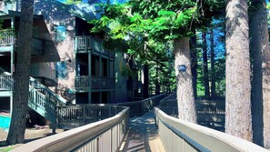 Un immeuble à plusieurs étages doté de balcons, d’une passerelle en bois et entouré d’arbres.