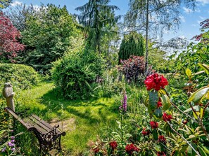 Un jardí amb una banca i diverses plantes.