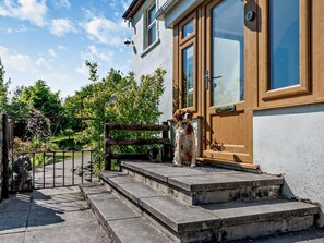 A dog standing on stone steps in front of a house with a wooden door and large windows. - 3 Bed in Carmarthen (oc-92116) (Gwernogle)