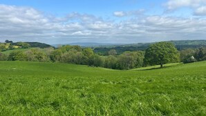 Ein grünes Feld mit sanften Hügeln und vereinzelten Bäumen unter einer teils bewölkten Himmel.