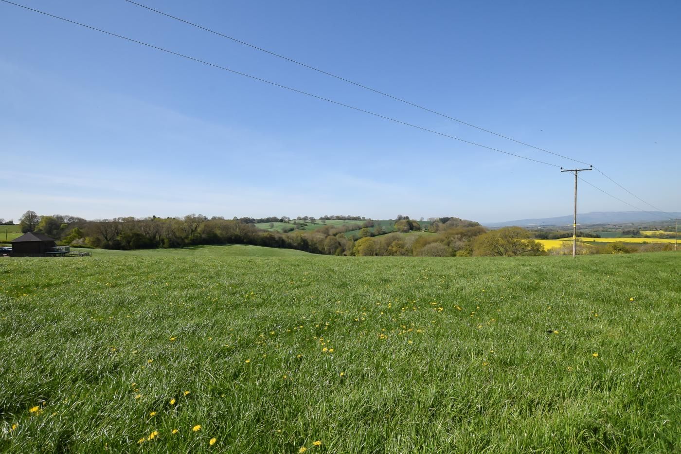 A grassy field with a clear sky, a utility pole, and distant hills.