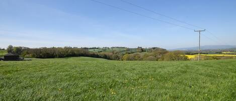 A grassy field with a clear sky, a utility pole, and distant hills.