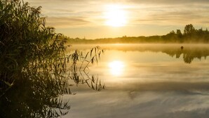 Eine hölzerne Mole, die sich in ruhiges Wasser erstreckt, mit einem Sonnenaufgang im Hintergrund.