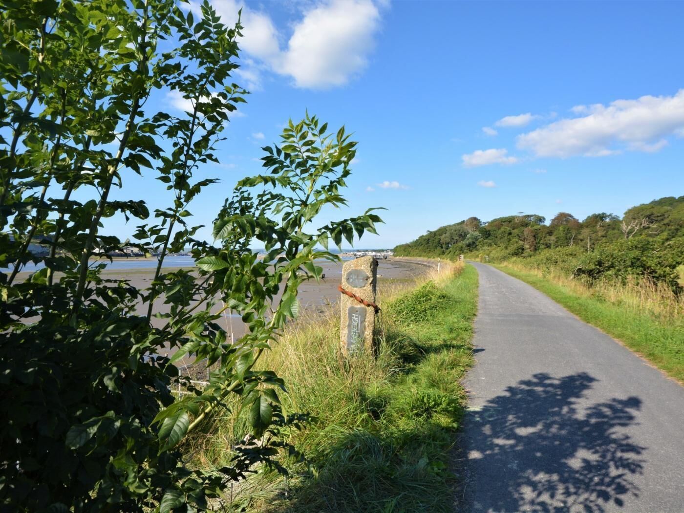 A coastal road with a signpost, greenery, and a clear sky.