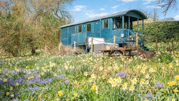 A blue house with a porch, surrounded by a field of wildflowers. - 1 Bed in Launceston (oc-91964) (Tregadillett)