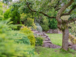 Ein Garten mit einem Kiesweg, verschiedenen Sträuchern und einem Baum.