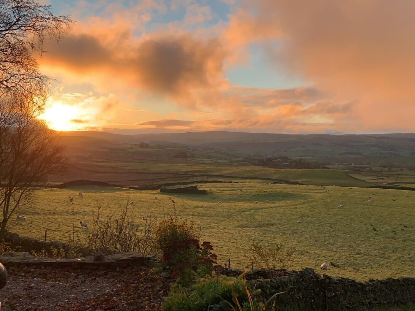 Paisaje rural con colinas ondulantes y una puesta de sol.