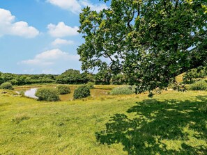 A grassy field with a large tree and a body of water in the distance.
