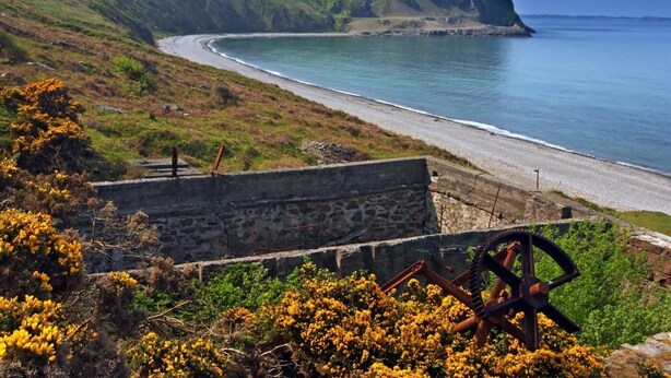 A coastal landscape with a stone wall, yellow flowering bushes, and a cliff overlooking the beach. - 2 Bed in Pwllheli (oc-92561) (Llithfaen)