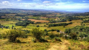 Ein weitreichender Panoramablick auf eine ländliche Gegend mit sanften Hügeln, Feldern und vereinzelten Bäumen.