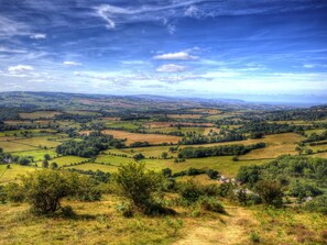 Ein weitreichender Panoramablick auf eine ländliche Gegend mit sanften Hügeln, Feldern und vereinzelten Bäumen.