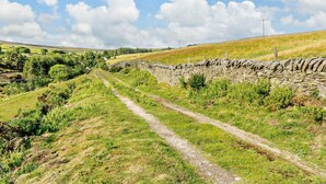 Un paysage rural avec un mur de pierres, un chemin de terre et des champs verdoyants.
