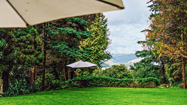 Uma área externa com gramado, com um guarda-sol de patío, rodeada por vegetação densa e árvores.