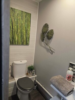 Bathroom - Vrbo Property (Cambrai)