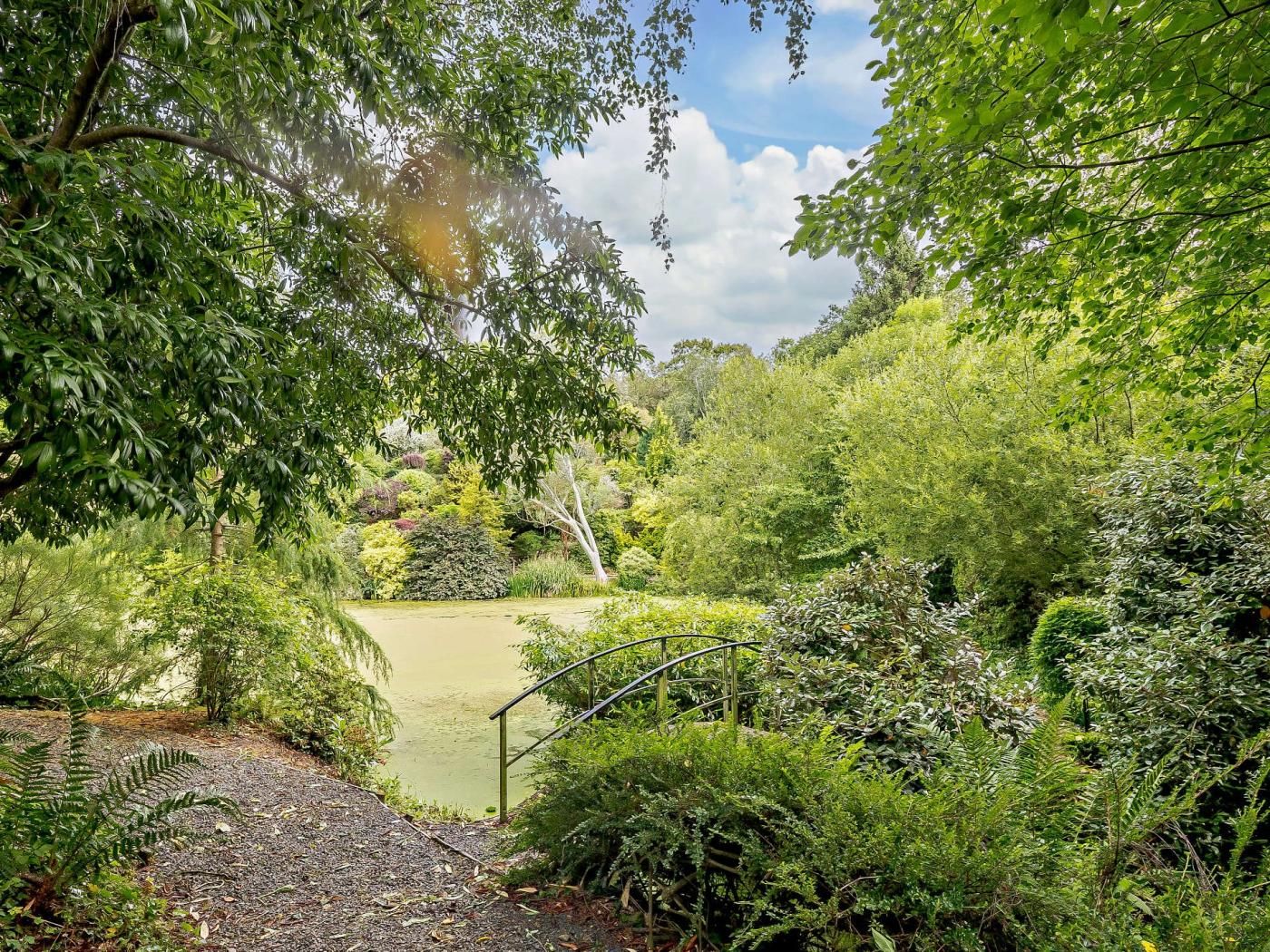 A garden with a pond, surrounded by dense foliage and a metal staircase leading down to the water.