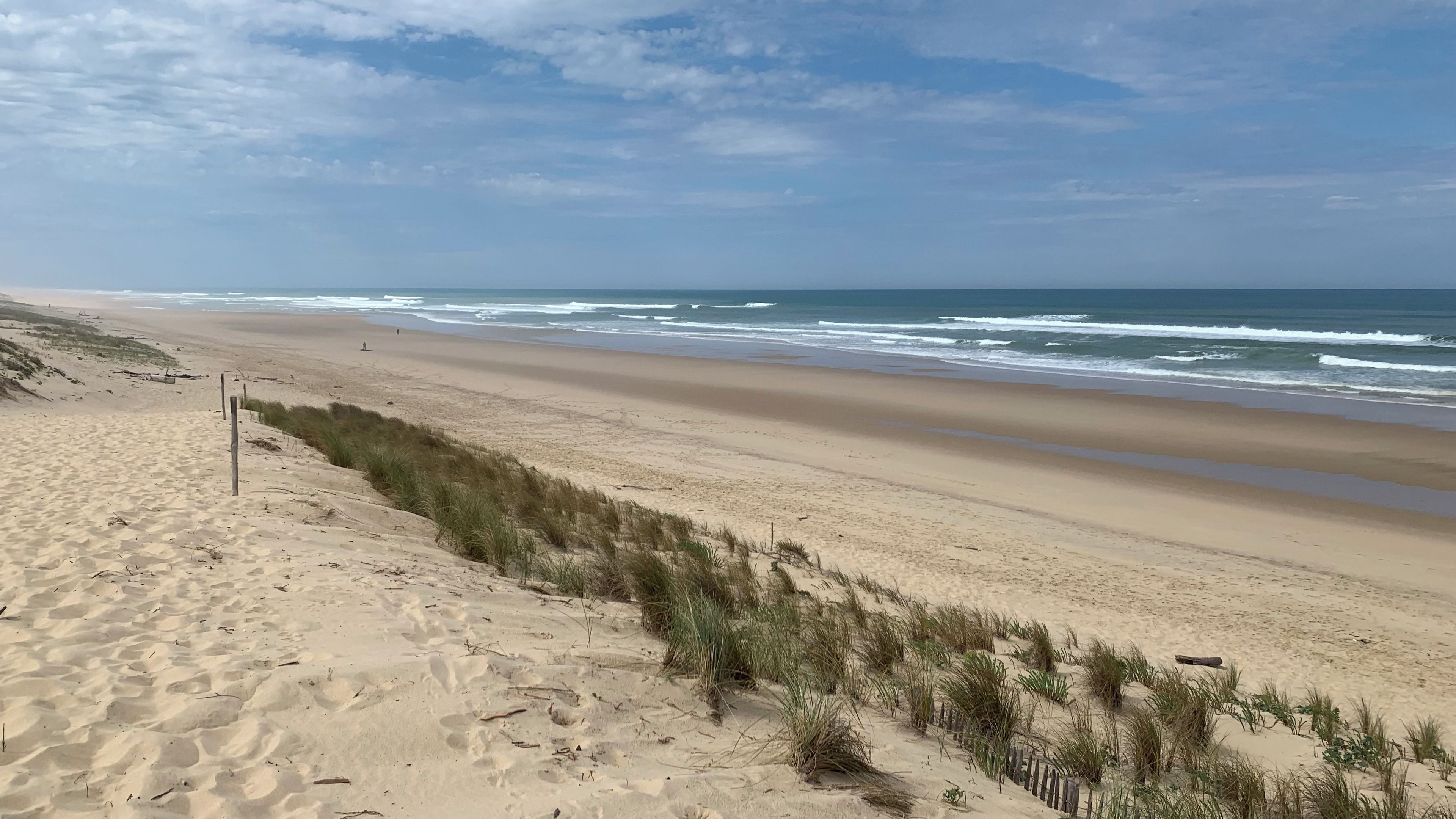 A beach with a sandy path leading to the water, a wooden post, and dunes with grass.