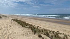 En strand med en sandstig som leder ner till vattnet, en trästolpe och sanddyner med gräs.