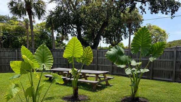 A backyard with a wooden fence, a picnic table, and large green plants. - Design District suite with free parking, centrally located. (Miami)