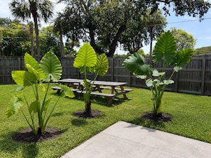 Outdoor dining - Beautiful, all new suite, with free parking in vibrant Miami design. (Miami)