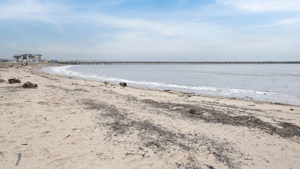 Ein Strand mit einem Steg, der sich ins Wasser erstreckt, einem Rettungsturm und einem sandigen Ufer.