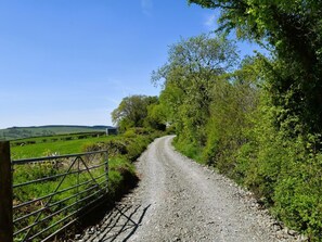 Eine ländliche Straße mit einem Metalltor links, umgeben von Grün und blauem Himmel.