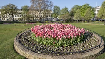 A circular flower bed with pink tulips, surrounded by a stone border, in a park with trees and a building in the background.