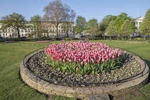 A circular flower bed with pink tulips, surrounded by a stone border, in a park with trees and a building in the background. - Stylish Two Bed Apartment on Montpellier Spa Road (Cheltenham)