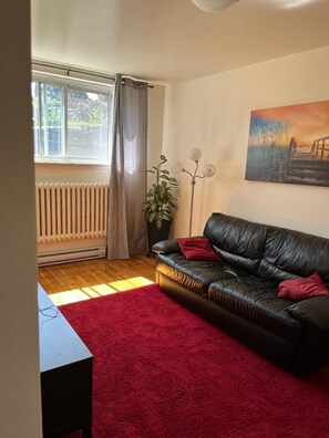 A living room with a black leather sofa, a red carpet, a radiator, a potted plant, a floor lamp, and a painting on the wall.