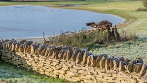 Un muro de piedra, un estanque y un campo cubierto de hierba con árboles al fondo.