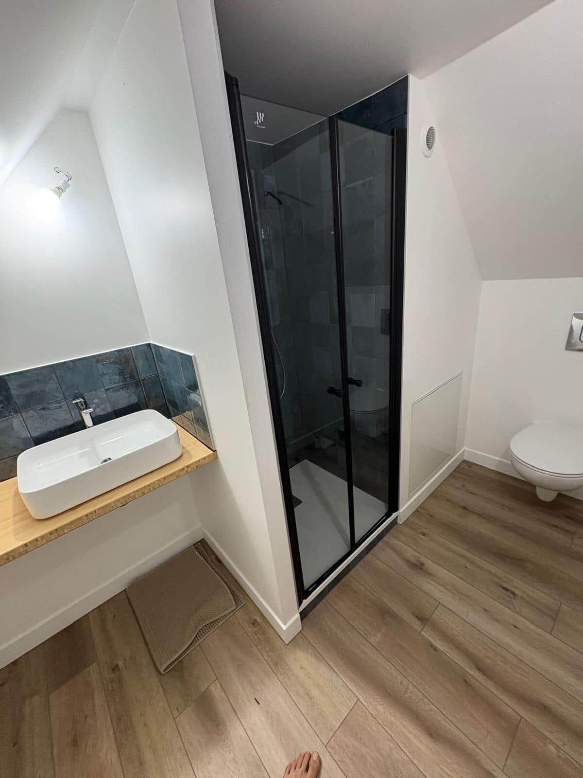A modern bathroom with a glass shower enclosure, a white sink, and a toilet.
