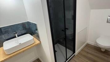 A modern bathroom with a glass shower enclosure, a white sink, and a toilet.