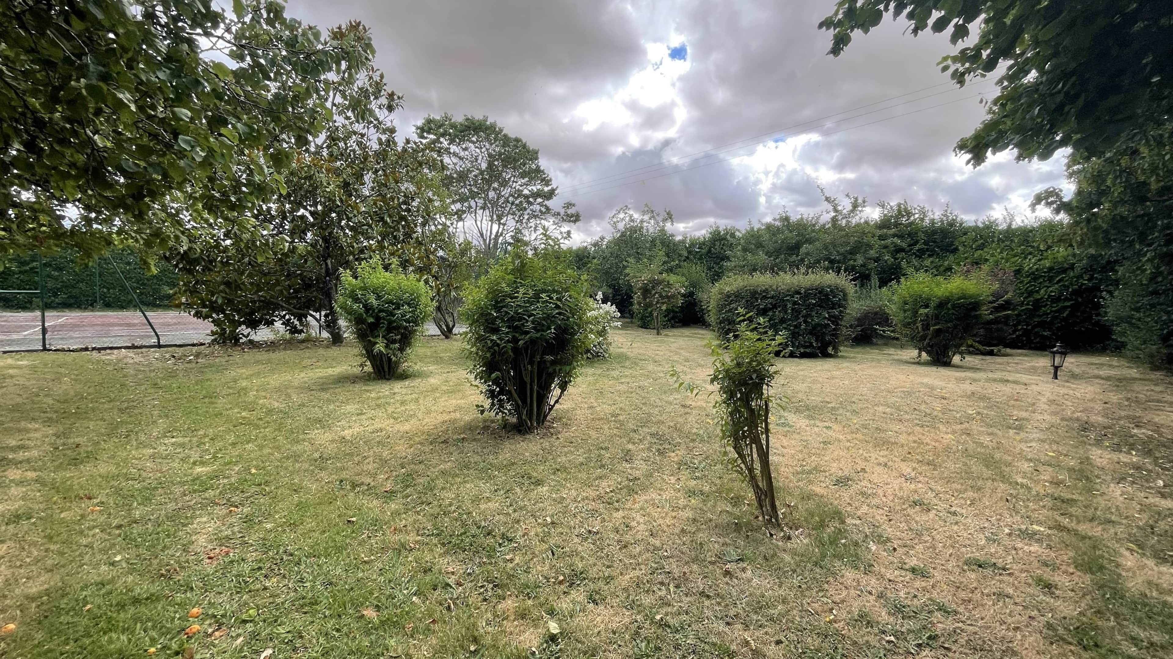 A grassy outdoor area with various shrubs and trees.