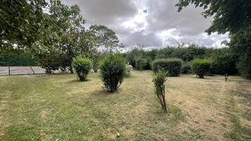A grassy outdoor area with various shrubs and trees.