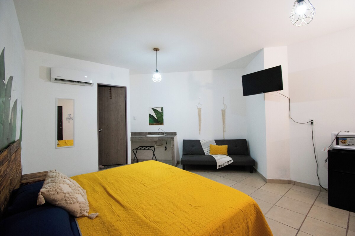 A room with a bed, a sofa, a TV, an air conditioner, and a desk with a computer.