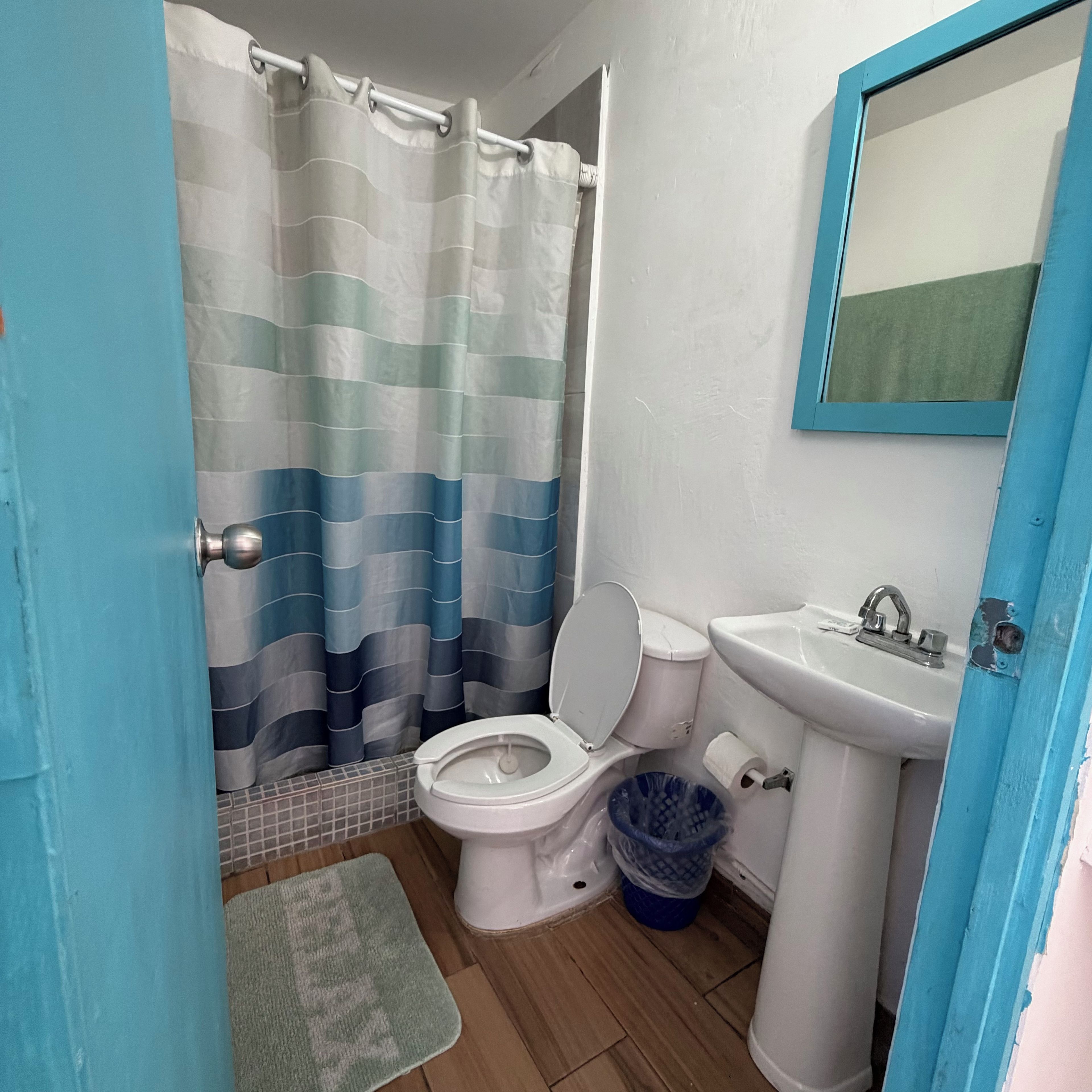 Un baño con inodoro, lavabo y cortina de ducha.
