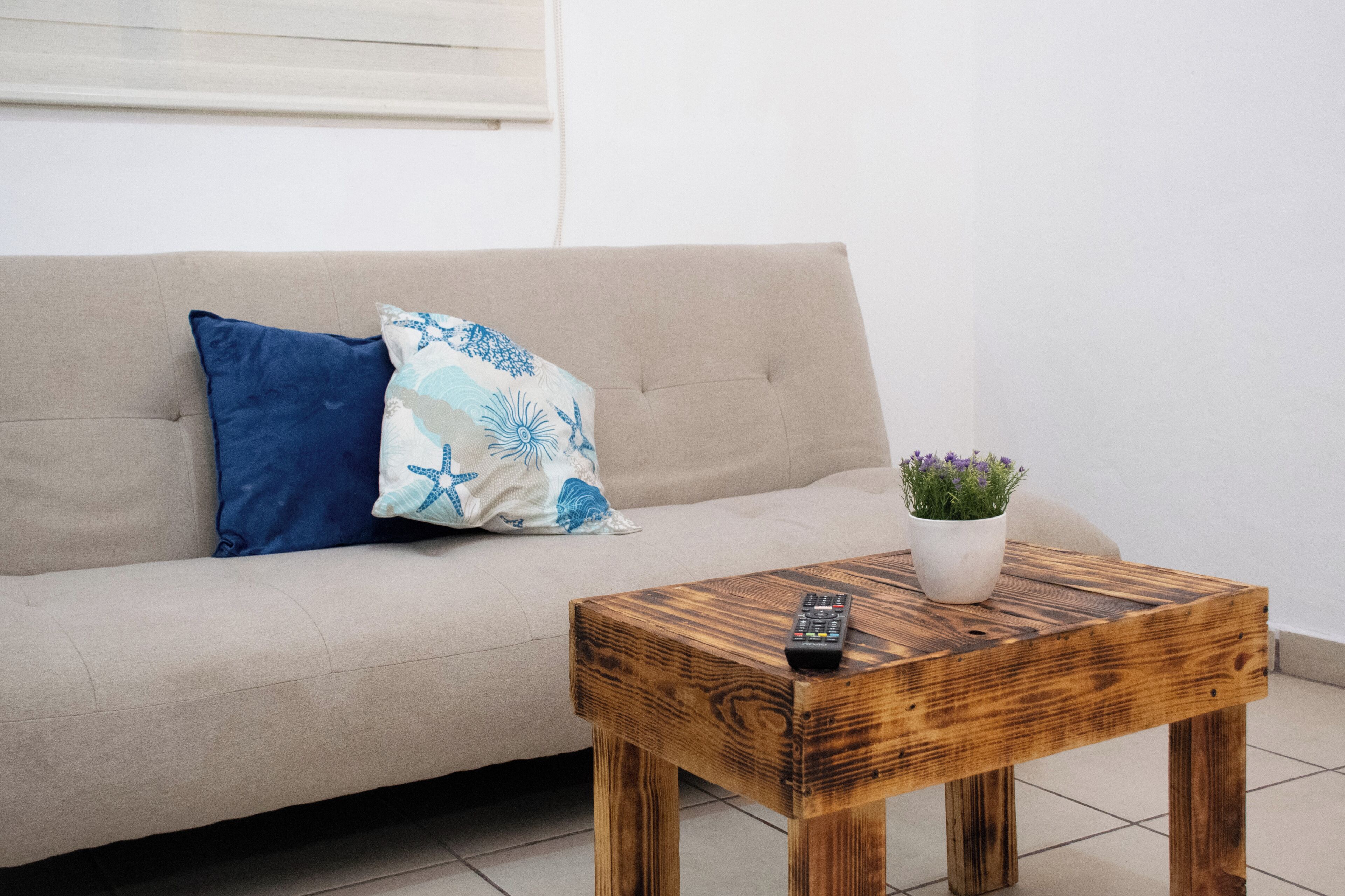 A beige sofa with a blue pillow and a decorative pillow with a blue and white pattern. A wooden coffee table with a remote control and a potted plant is in front of the sofa.