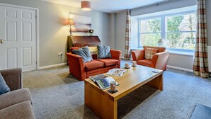 تلفزيون، مدفأة