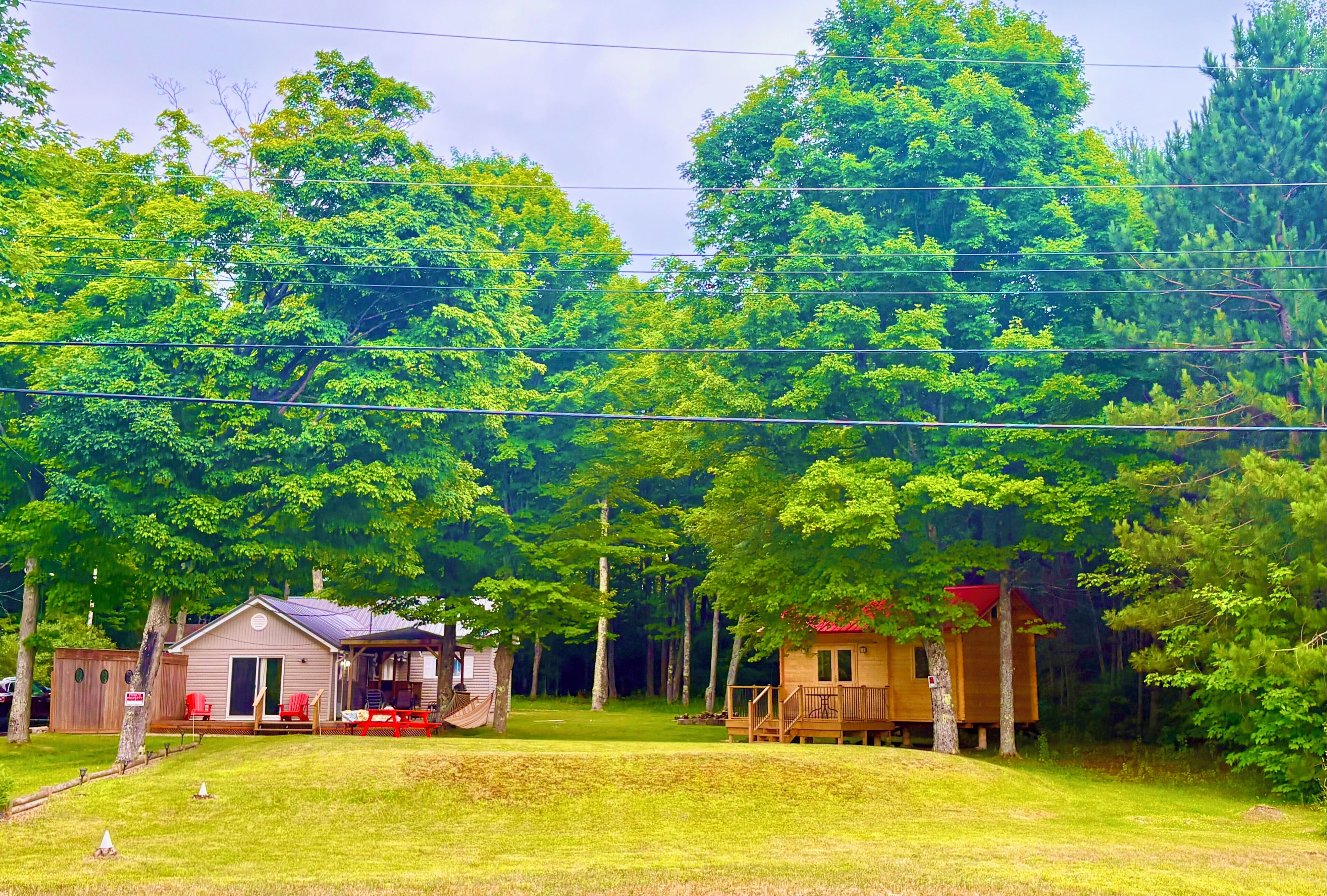 Une cabane dotée d’un porche, entourée d’une pelouse bien entretenue et d’une forêt dense.