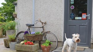 Un cane in piedi su un tappetino davanti a una porta con adesivi, una bicicletta con un cesto e piante in vaso.