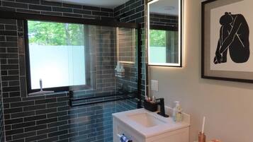 Shower, hair dryer, soap, toilet paper