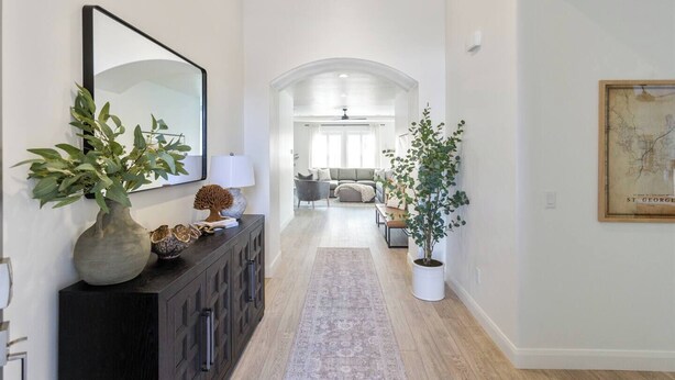 Un couloir avec une console en bois foncé, un miroir, un vase contenant des plantes vertes, un arbre en pot blanc et une carte encadrée accrochée au mur.