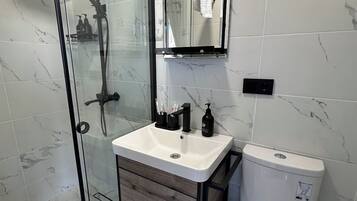 Hair dryer, towels, soap, toilet paper