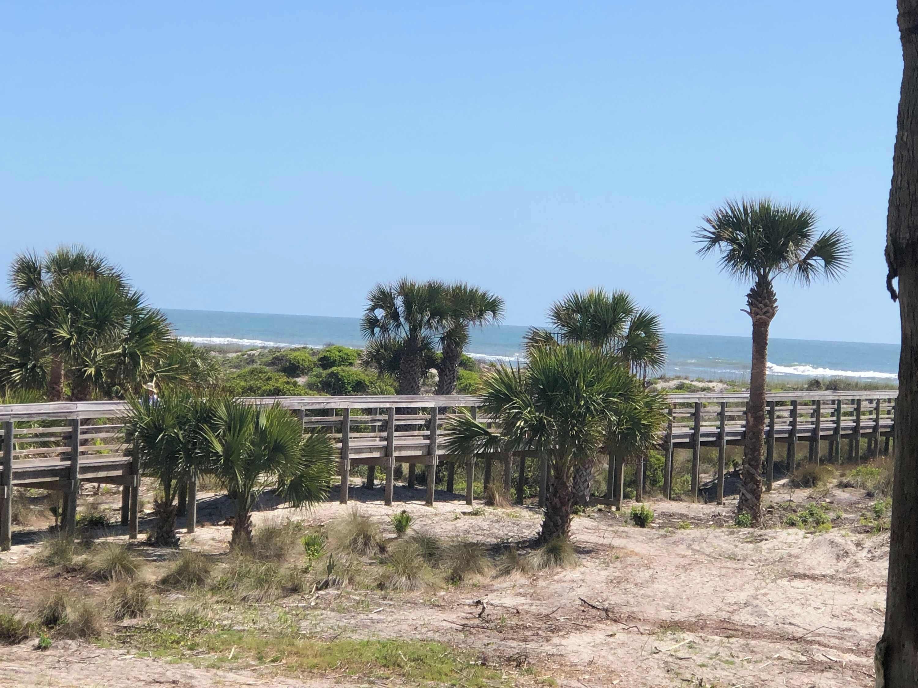 A beach view with wooden boardwalks, palm trees, and a clear sky.