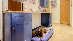 Una stanza con cuccia per cani, pensili, forno a microonde e un quadro raffigurante un cane.