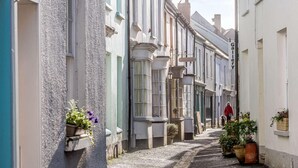 A narrow street with buildings on either side, a sign for a gallery, and potted plants. - 2 Bed in Appledore (oc-90648) (Appledore)