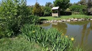 A pond with a wooden structure, surrounded by lush greenery and a clear sky.