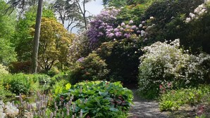 A garden with a variety of plants and flowers, a pond, and a dirt path. - 8 Bed in Dorchester (oc-93723) (Minterne Magna)