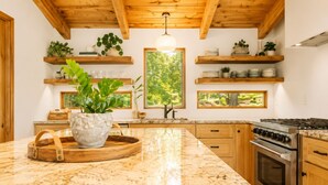 A kitchen with wooden beams, granite countertops, a stove, and shelves with plants.